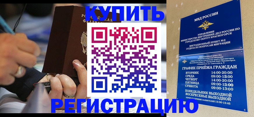 регистрация для школы в Димитровграде